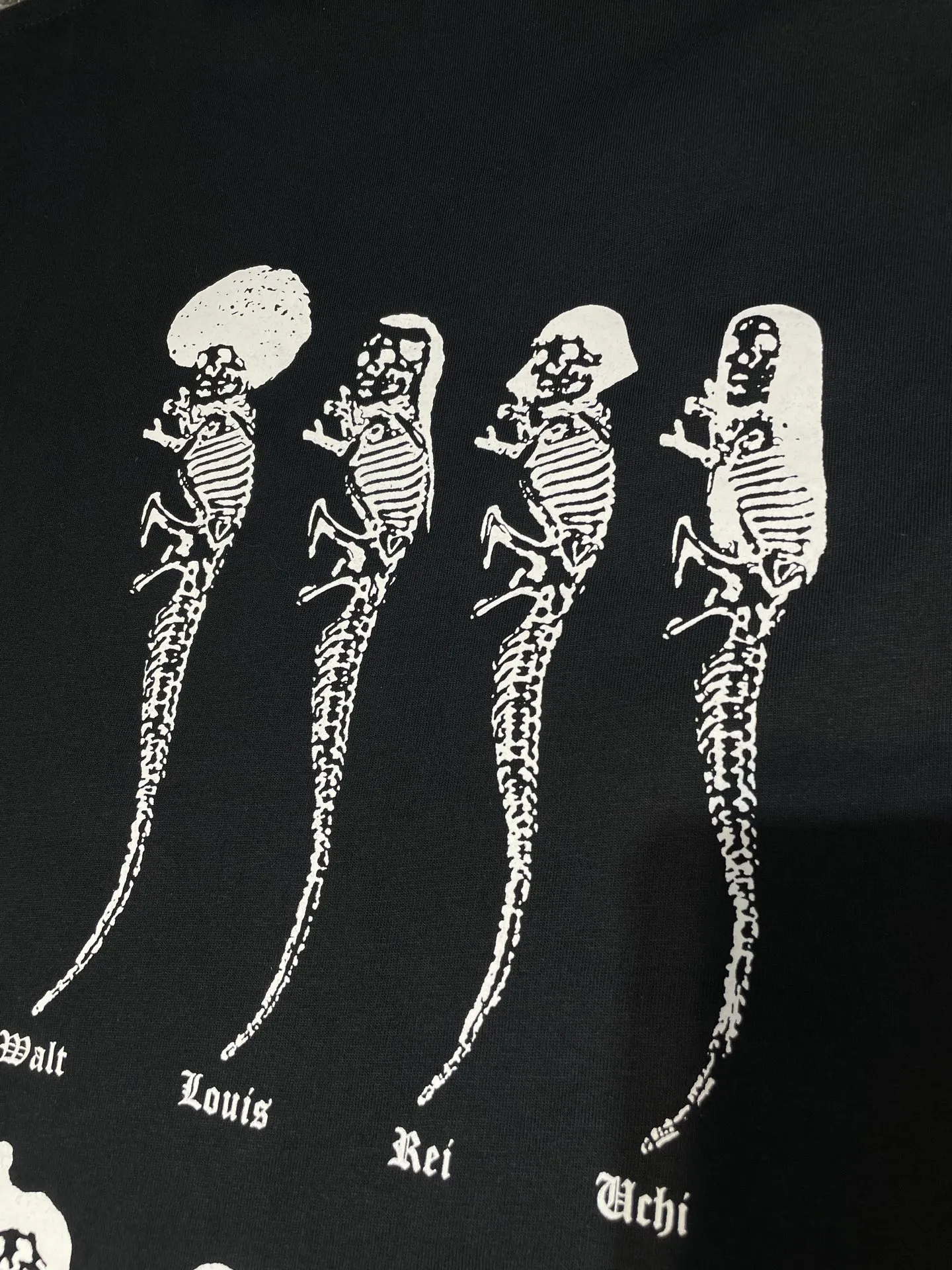 P250 N502 Kl 🌟【Top original order】Chrome Hearts Sanskrit short sleeves printed all over the back. Process description: The fabric is made of 26-woven 200g cotton, and the printing is made of special imported slurry. The overall routing is straight and delicate, the fabric is comfortable and soft, and the color is consistent without color difference. It can be matched with the same style to create a fashionable look and control various occasions. Customized accessories, complete three standards, same style for men and women!  size：s m l